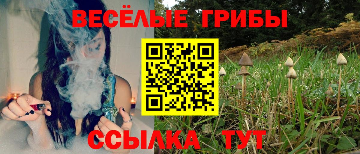 Галлюциногенные грибы Psilocybe  Берёзовский 