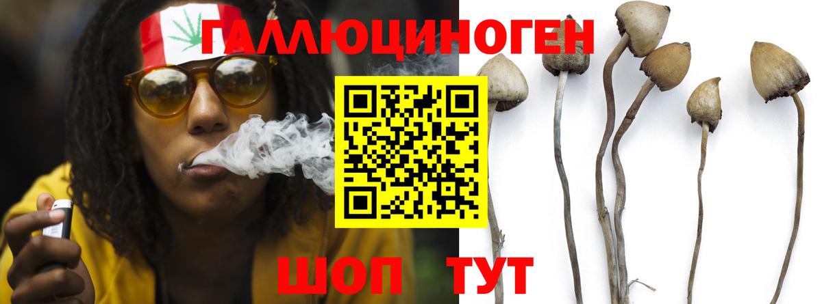 Псилоцибиновые грибы мухоморы  Псилоцибиновые грибы ЛСД  Вход с VPN  Берёзовский 